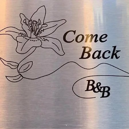 Come Back Bed & Breakfast *